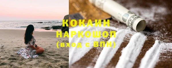 прущие грибы Абаза