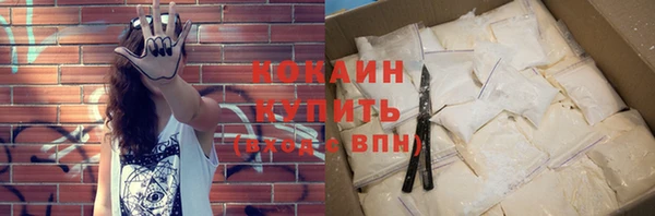 прущие грибы Абаза