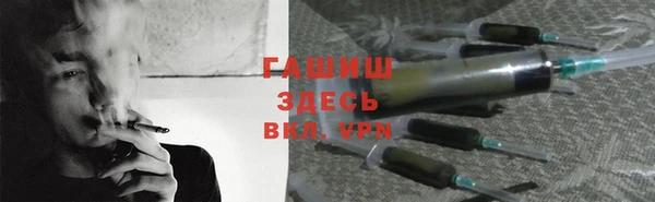 прущие грибы Абаза