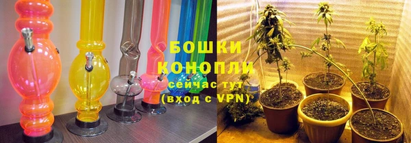 прущие грибы Абаза