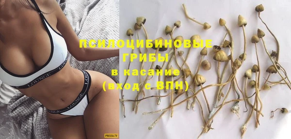 мдпв Абдулино