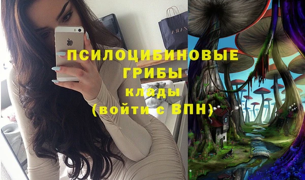 мдпв Приозерск