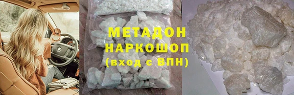 прущие грибы Абаза