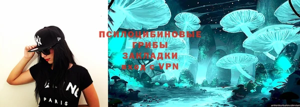 прущие грибы Абаза