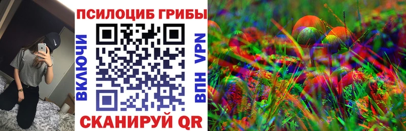 OMG как войти  Туринск  Галлюциногенные грибы Psilocybine cubensis  где найти  