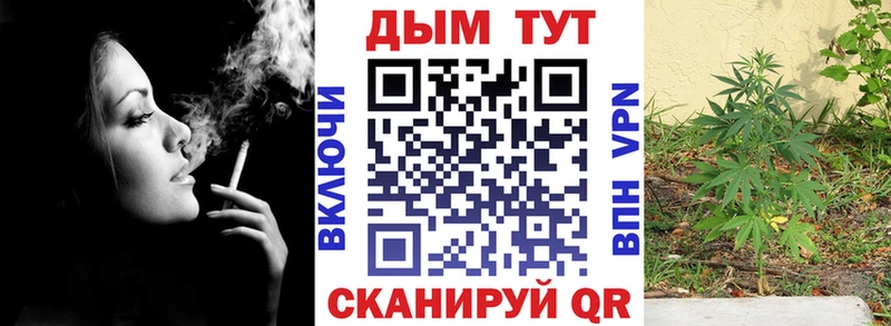Шишки марихуана Bruce Banner  Туринск 